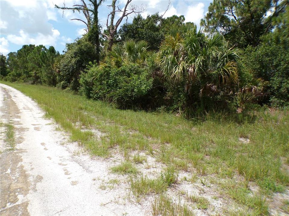 For Sale: $9,990 (0.23 acres)