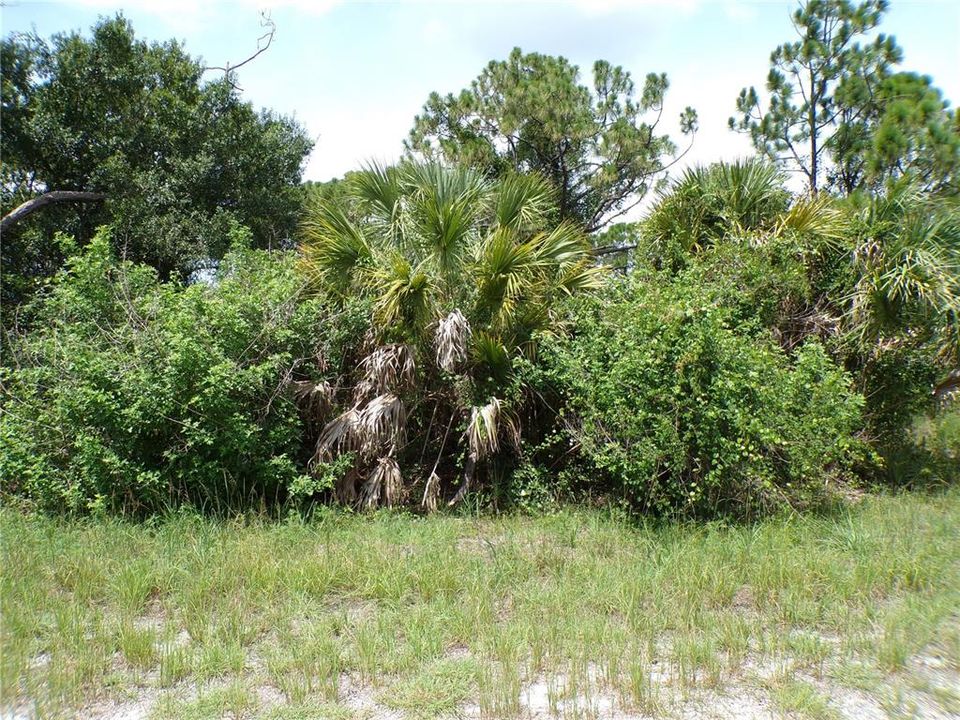 For Sale: $9,990 (0.23 acres)