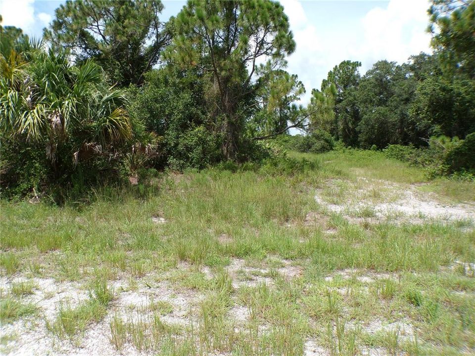 For Sale: $9,990 (0.23 acres)