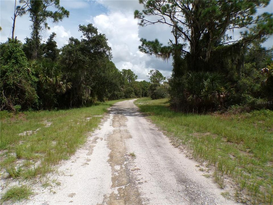 For Sale: $9,990 (0.23 acres)