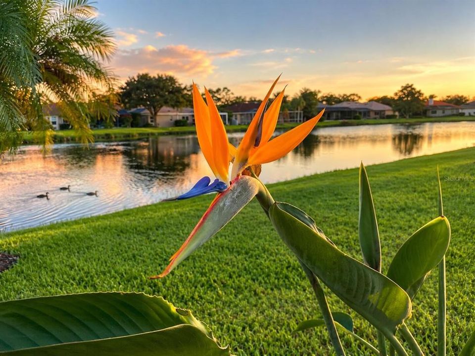 For Sale: $789,000 (4 beds, 3 baths, 2814 Square Feet)