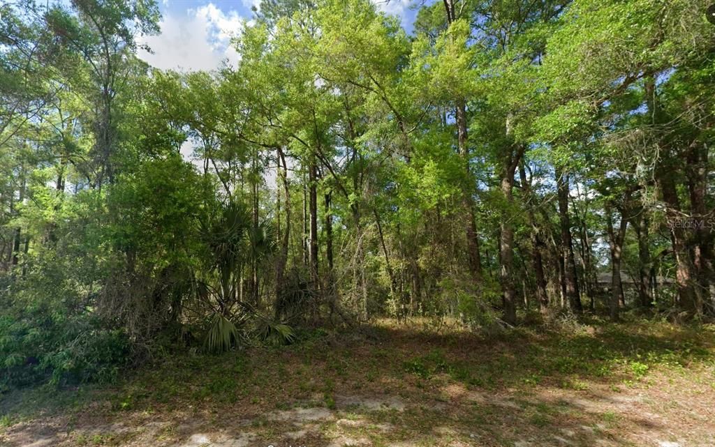 En Venta: $23,900 (0.41 acres)