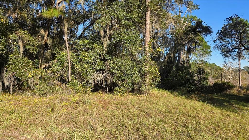 待售: $59,900 (0.37 acres)