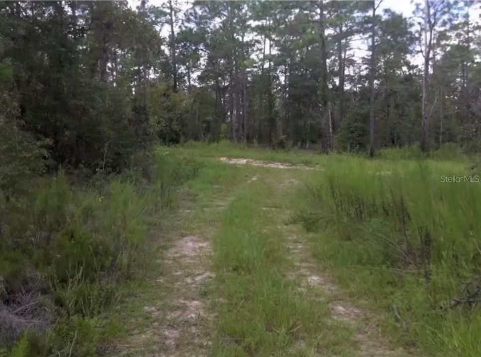 待售: $30,000 (0.46 acres)