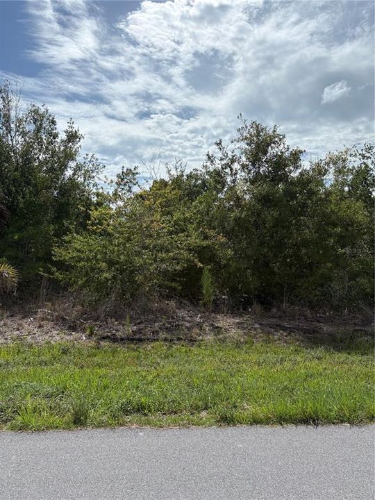 For Sale: $20,000 (0.23 acres)