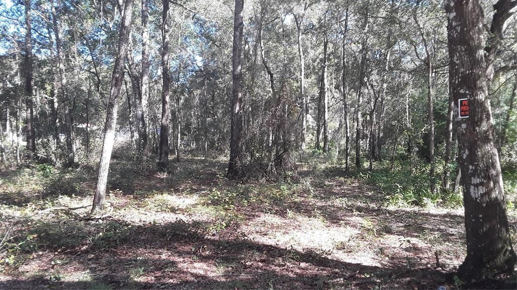 待售: $22,500 (0.23 acres)