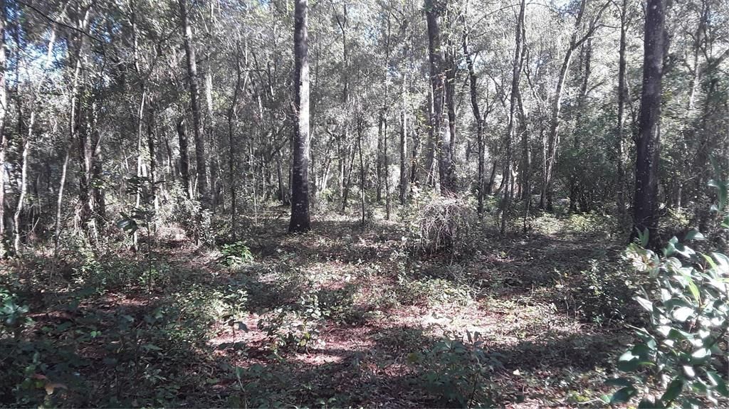 待售: $22,500 (0.23 acres)