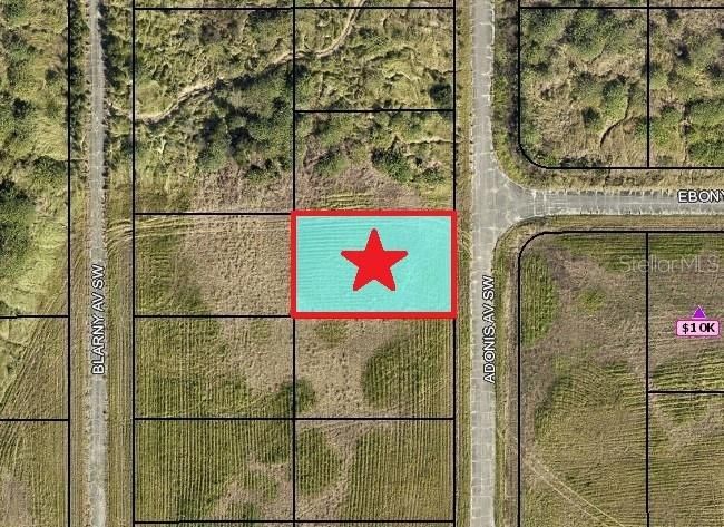 待售: $13,999 (0.23 acres)