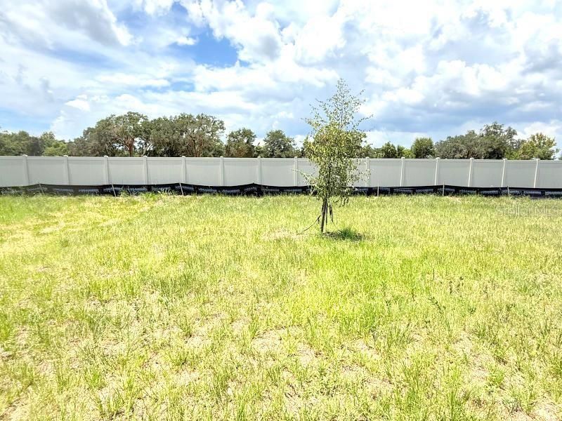En Renta: $2,500 (5 camas, 2 baños, 2326 Pies cuadrados)