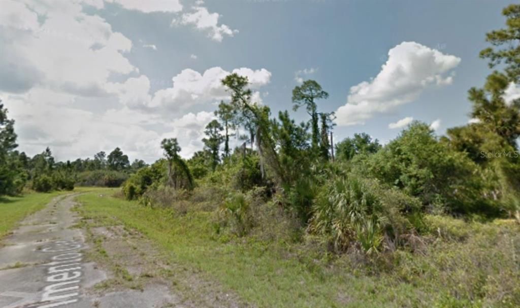 For Sale: $10,500 (0.29 acres)