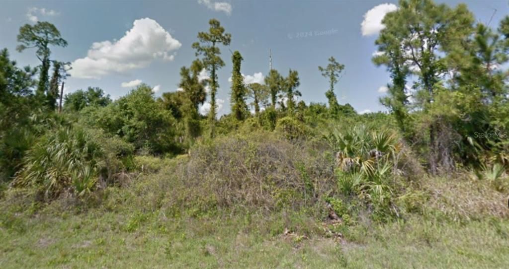 For Sale: $10,500 (0.29 acres)