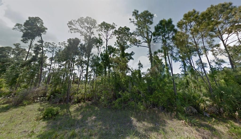 For Sale: $10,500 (0.24 acres)
