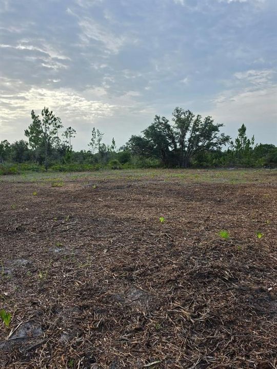 待售: $27,000 (0.50 acres)