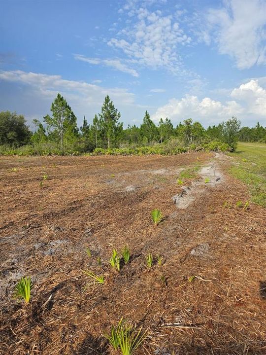 待售: $27,000 (0.50 acres)