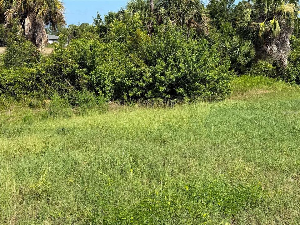 For Sale: $45,900 (0.22 acres)