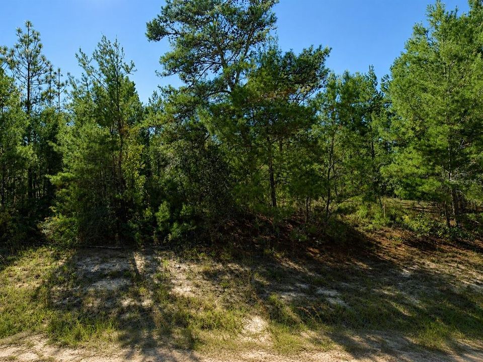 待售: $11,995 (0.23 acres)