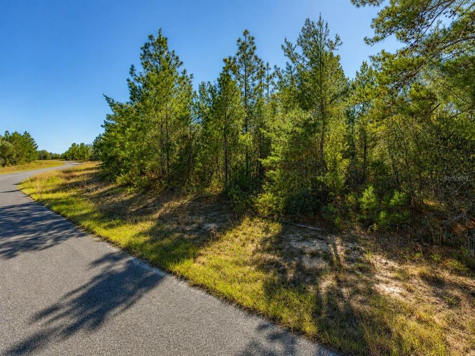待售: $11,995 (0.23 acres)