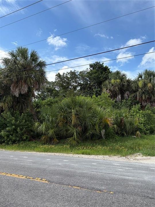 For Sale: $30,000 (0.31 acres)
