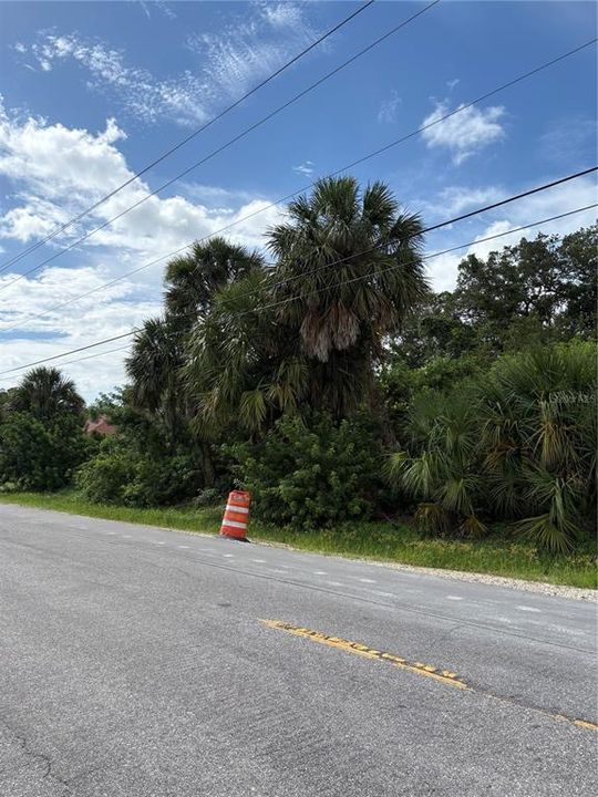 For Sale: $30,000 (0.31 acres)
