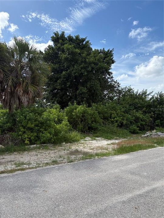 For Sale: $30,000 (0.31 acres)