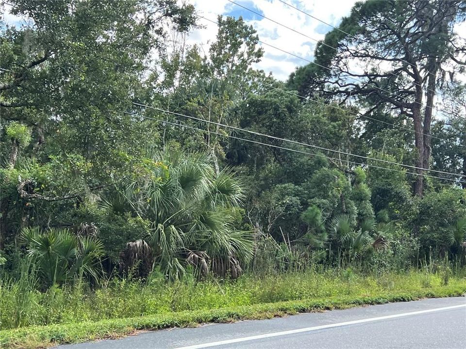 En Venta: $185,000 (7.50 acres)