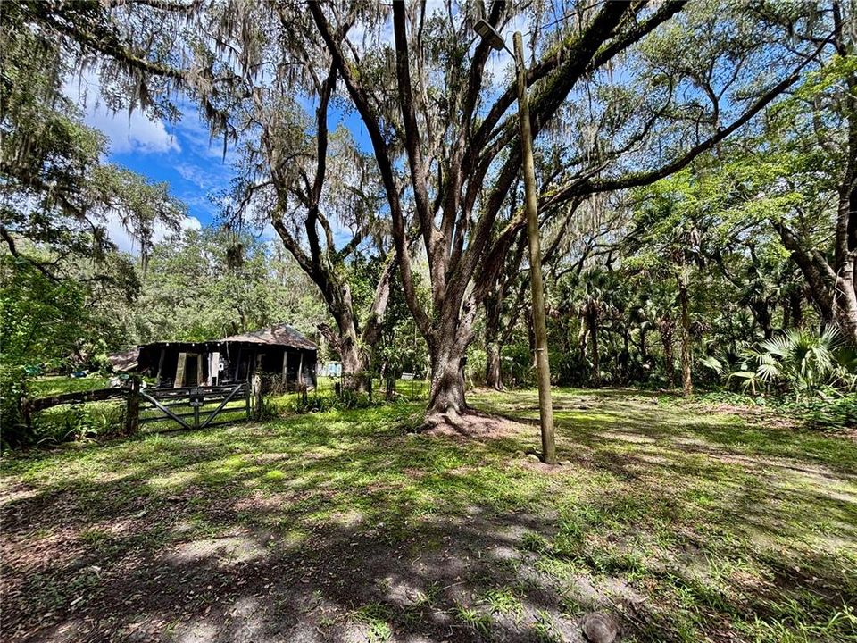 En Venta: $99,000 (0.55 acres)