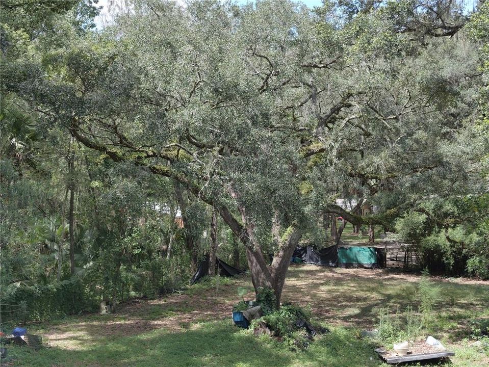 En Venta: $99,000 (0.55 acres)