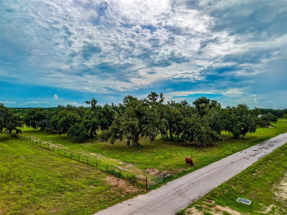 For Sale: $650,000 (5.60 acres)