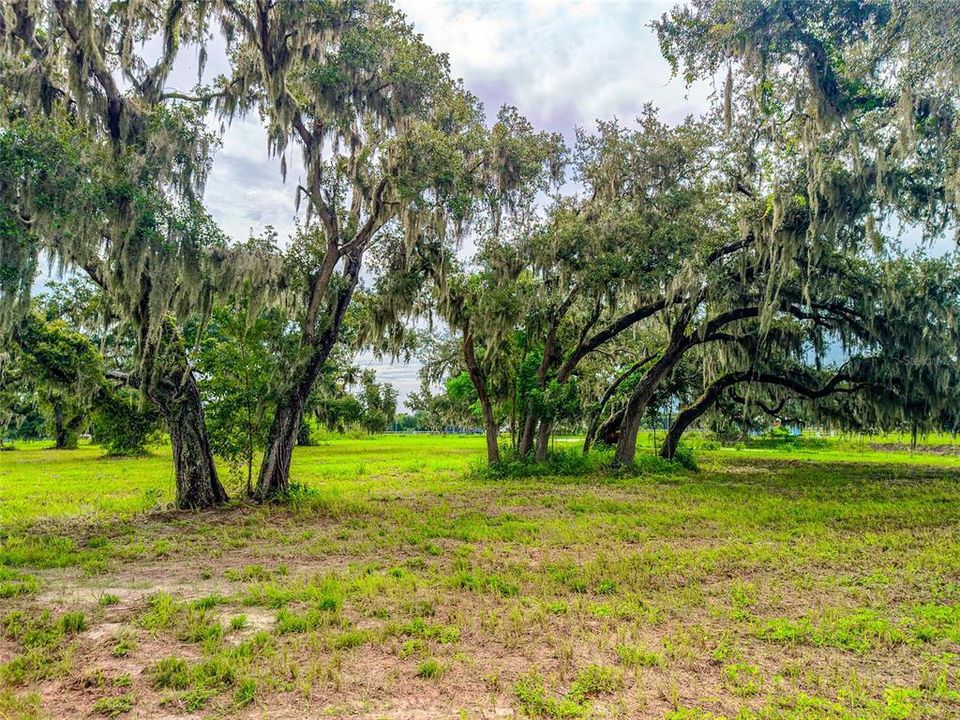 For Sale: $650,000 (5.85 acres)