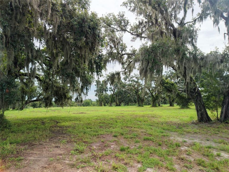 For Sale: $650,000 (5.85 acres)