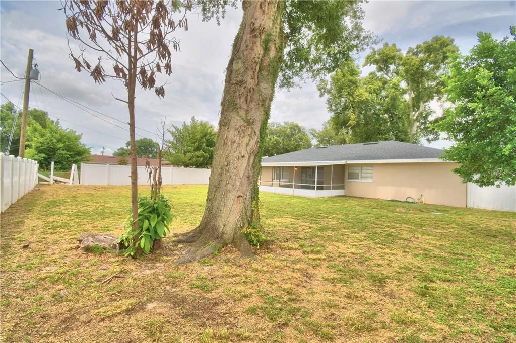 Под контрактом: $285,000 (4 спален, 2 ванн, 1836 Квадратных фут)