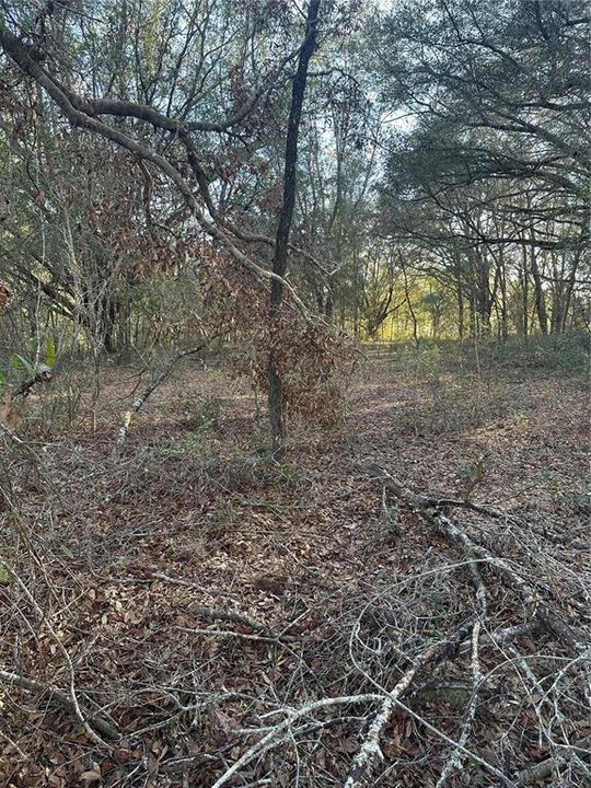 En Venta: $28,500 (0.62 acres)