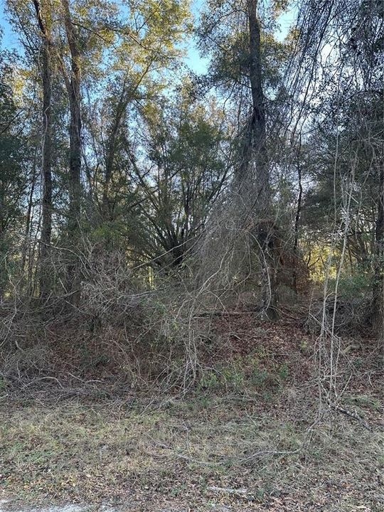 En Venta: $28,500 (0.62 acres)