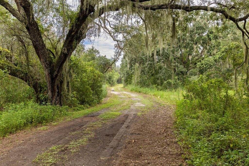 For Sale: $825,000 (10.60 acres)