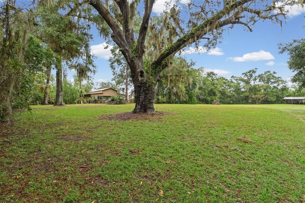 En Venta: $240,000 (3 camas, 2 baños, 1595 Pies cuadrados)