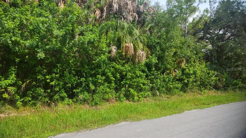 For Sale: $16,500 (0.23 acres)