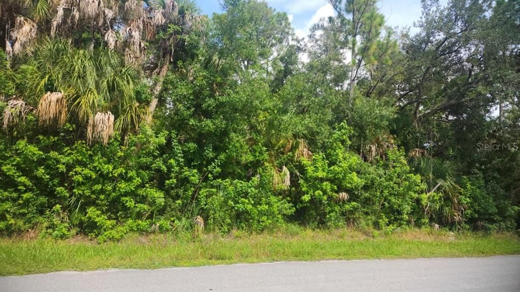 For Sale: $16,500 (0.23 acres)