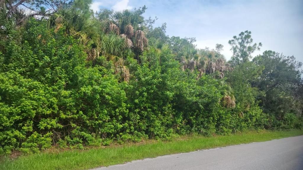 For Sale: $16,500 (0.23 acres)