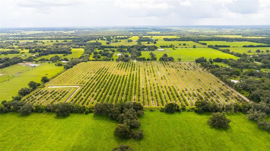 For Sale: $1,436,000 (40.00 acres)