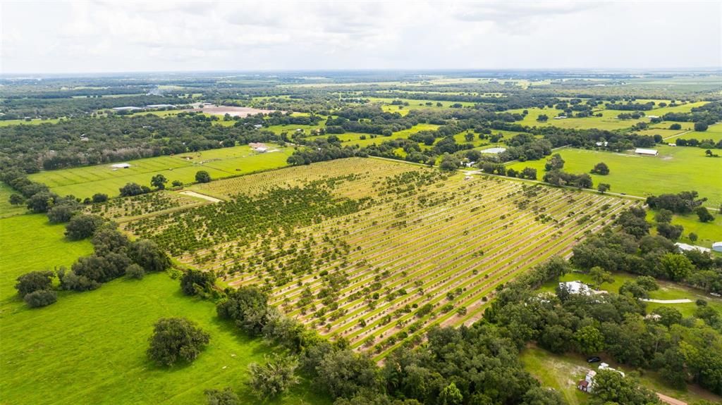 For Sale: $1,436,000 (40.00 acres)