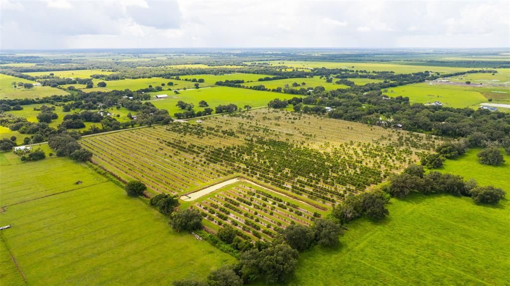 For Sale: $1,436,000 (40.00 acres)