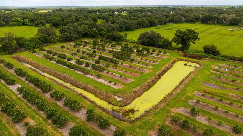 For Sale: $1,436,000 (40.00 acres)