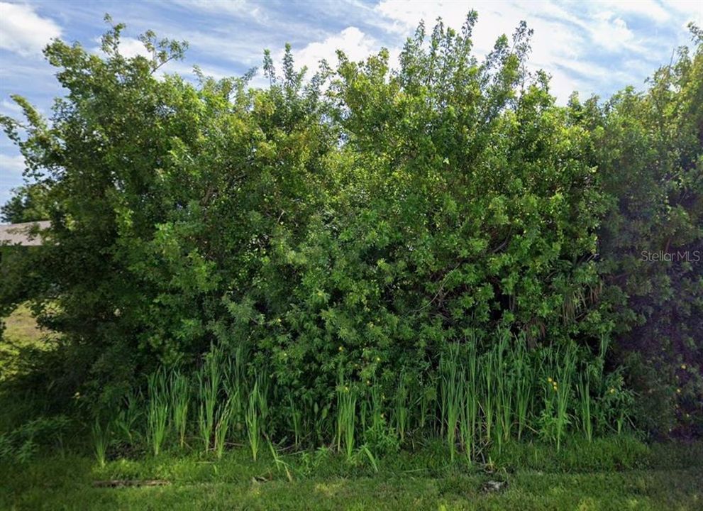 For Sale: $22,500 (0.23 acres)