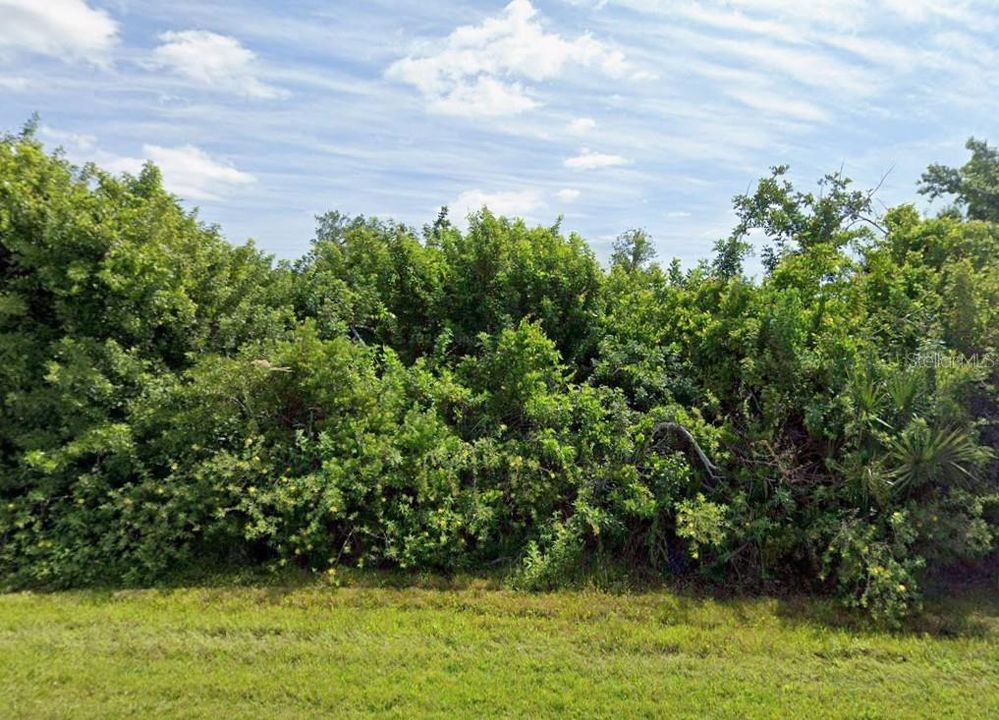 For Sale: $22,500 (0.23 acres)