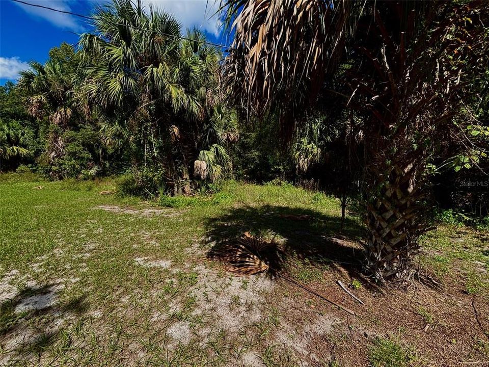 For Sale: $79,900 (0.44 acres)
