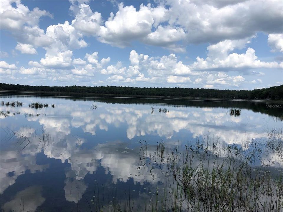 For Sale: $79,900 (0.44 acres)