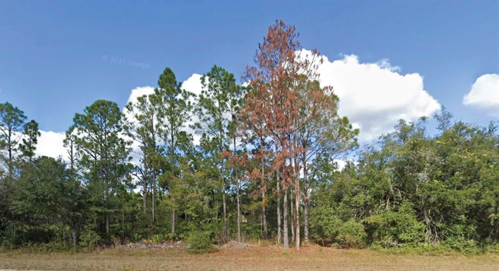 待售: $23,000 (0.50 acres)