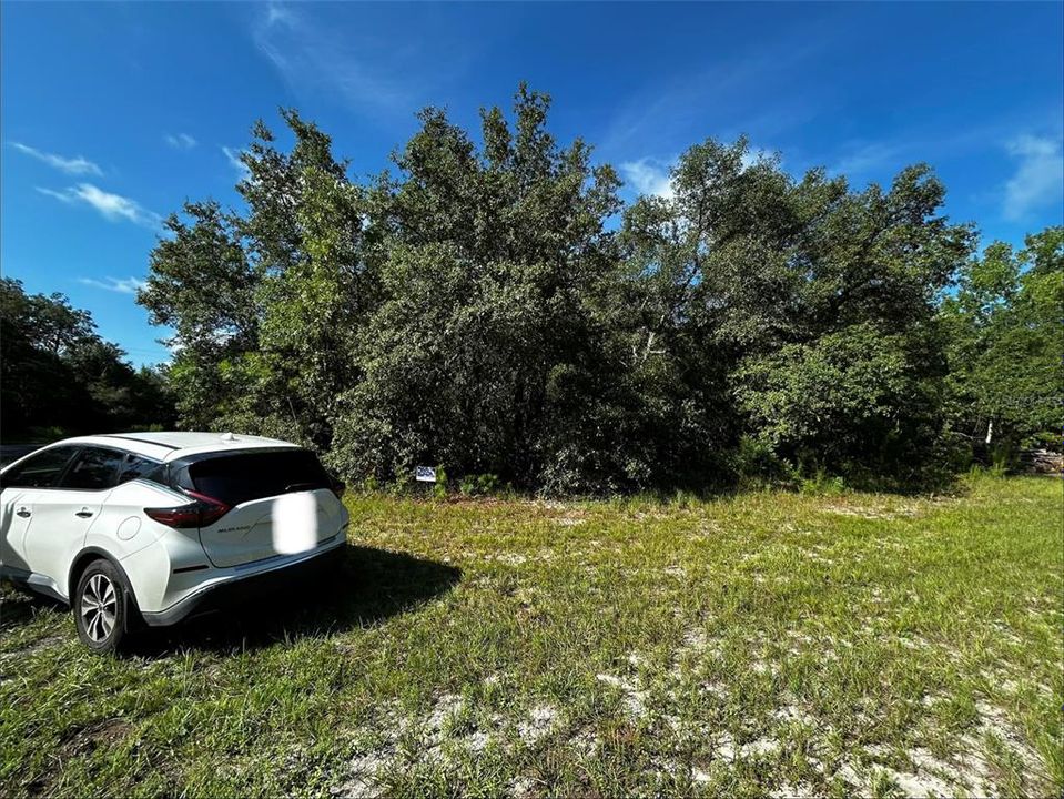 For Sale: $36,800 (0.29 acres)