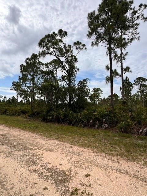 For Sale: $13,500 (0.17 acres)