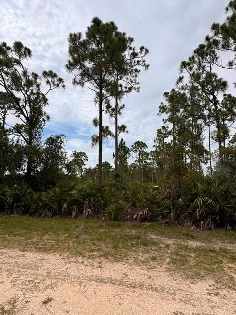 For Sale: $13,500 (0.17 acres)